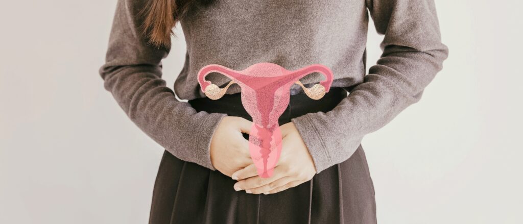 女性の生殖器系